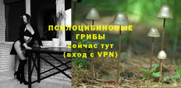 бутират Каменск-Шахтинский